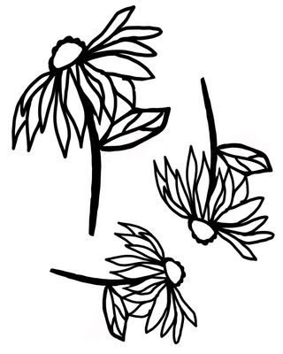 Cone Flowers masks stencil 9x12