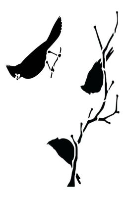 Cardinals 2 stencil 5x8