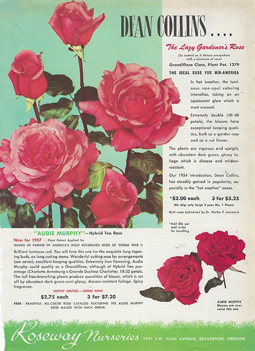 Flower Garden Book collage pak vintage 10 pages instant download
