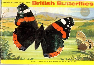 British butterfly vintage book collage papers ** INSTANT DOWNLOAD** 11 pages