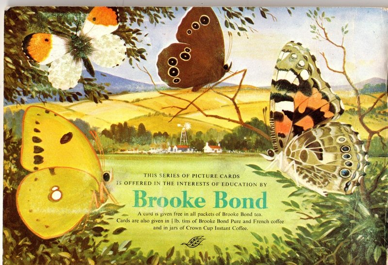 British butterfly vintage book collage papers ** INSTANT DOWNLOAD** 11 pages