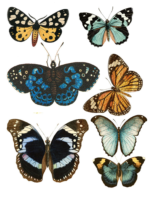 Bright butterfly collage papers **INSTANT DOWNLOAD** 8 pages