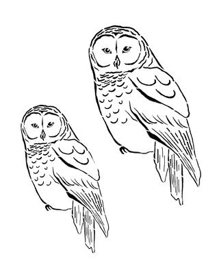 Woodland creatures Owl 8x10
