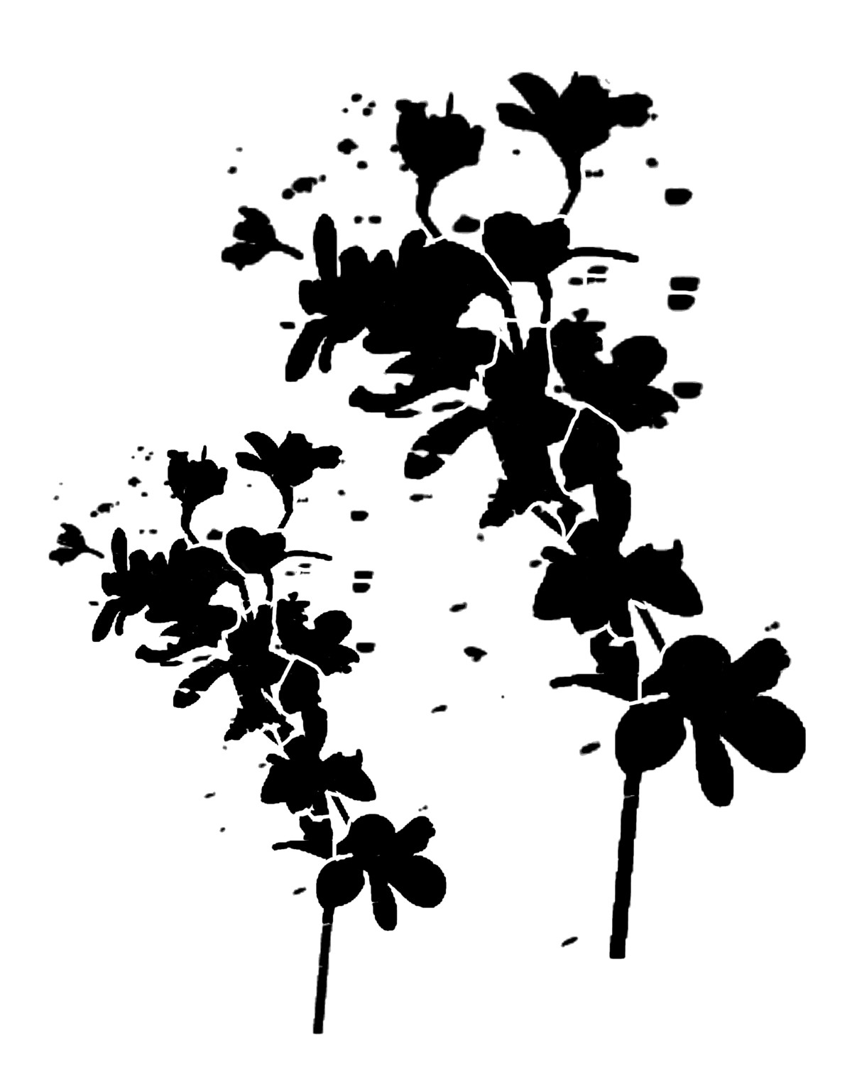 Messy Flower Silhouette stencil 12x16