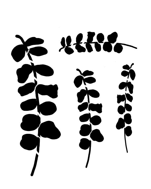 Eucalyptus branches stencil 8x10