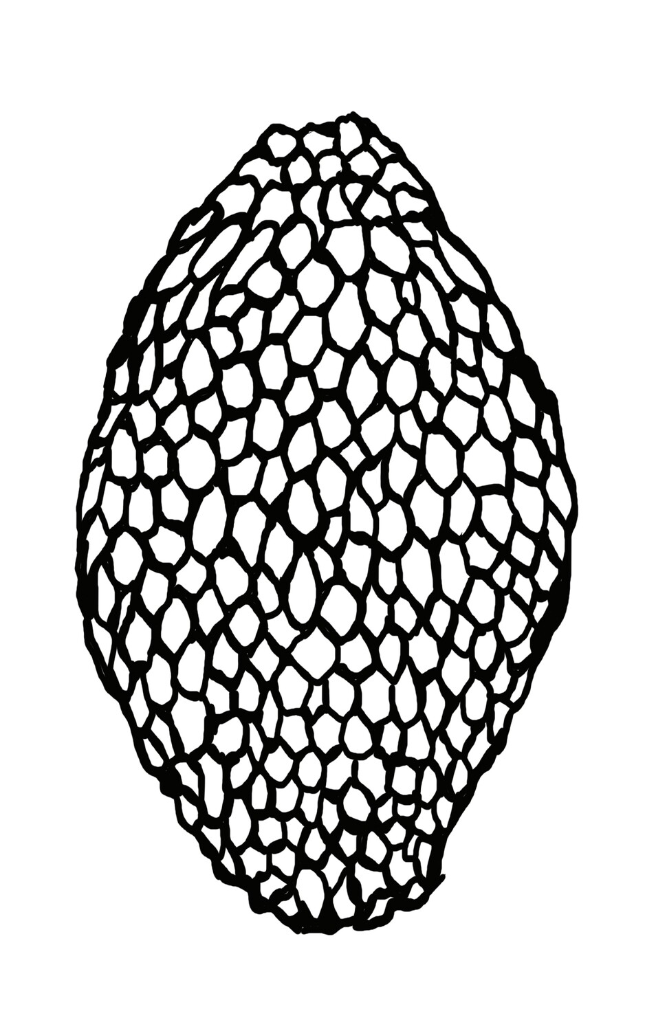 Algae large with 1 mask stencil 5x8