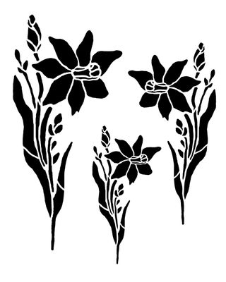 Daffodil Flower Trio, 8x10 "CLEARANCE"