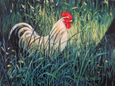 A Sunny Patch