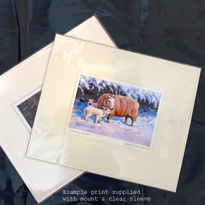Collectors&#39; Prints