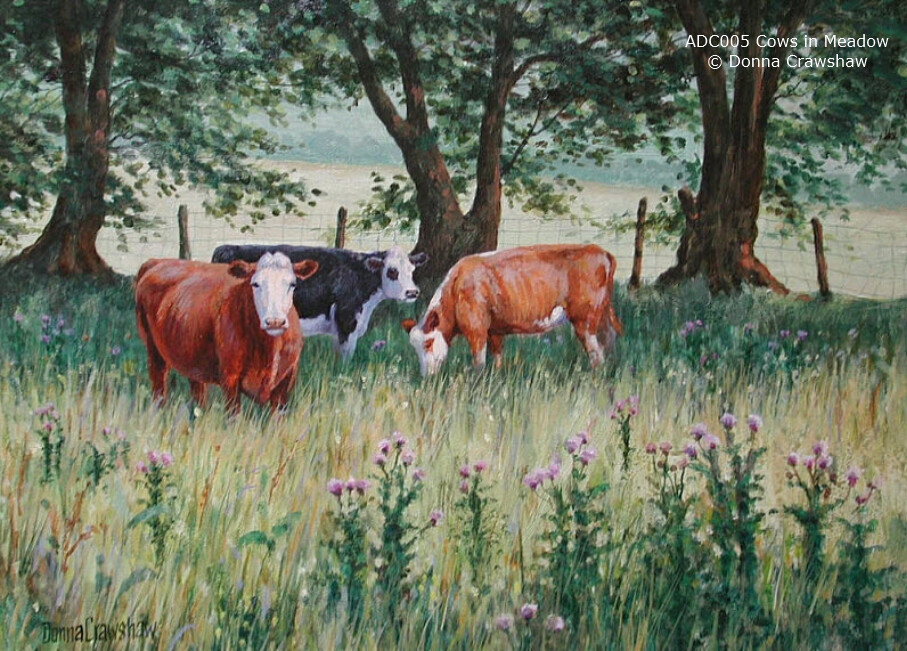 Cows in the Meadow