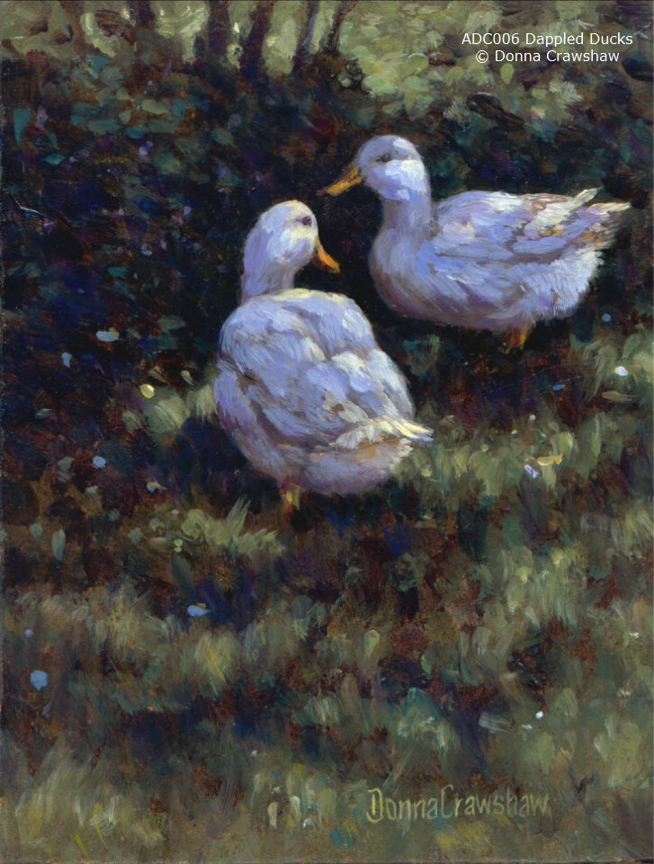 Dappled Ducks