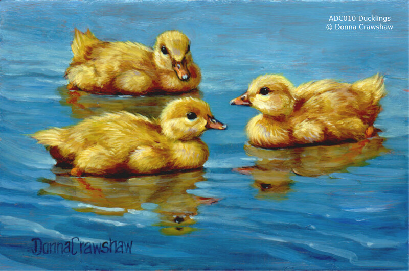 Ducklings