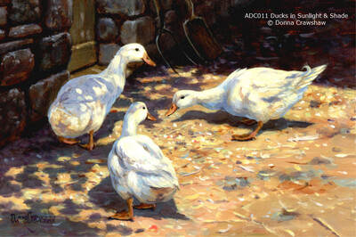 Ducks in Sunlight and Shade