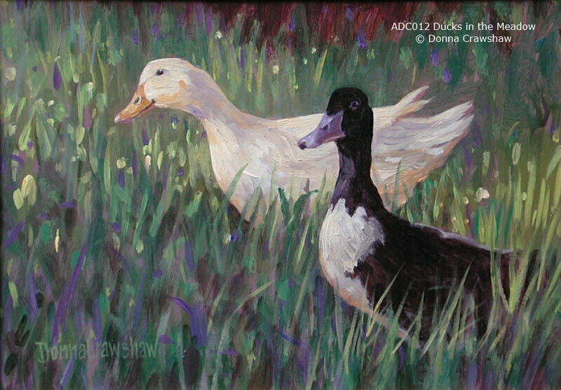 Ducks in the Meadow