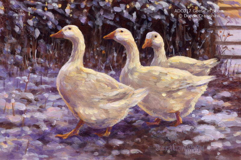Geese in Snow