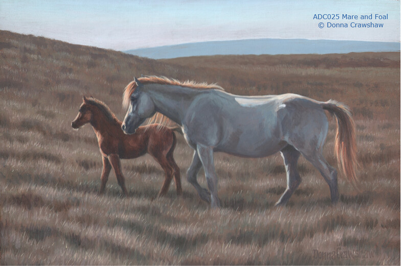 Mare and Foal