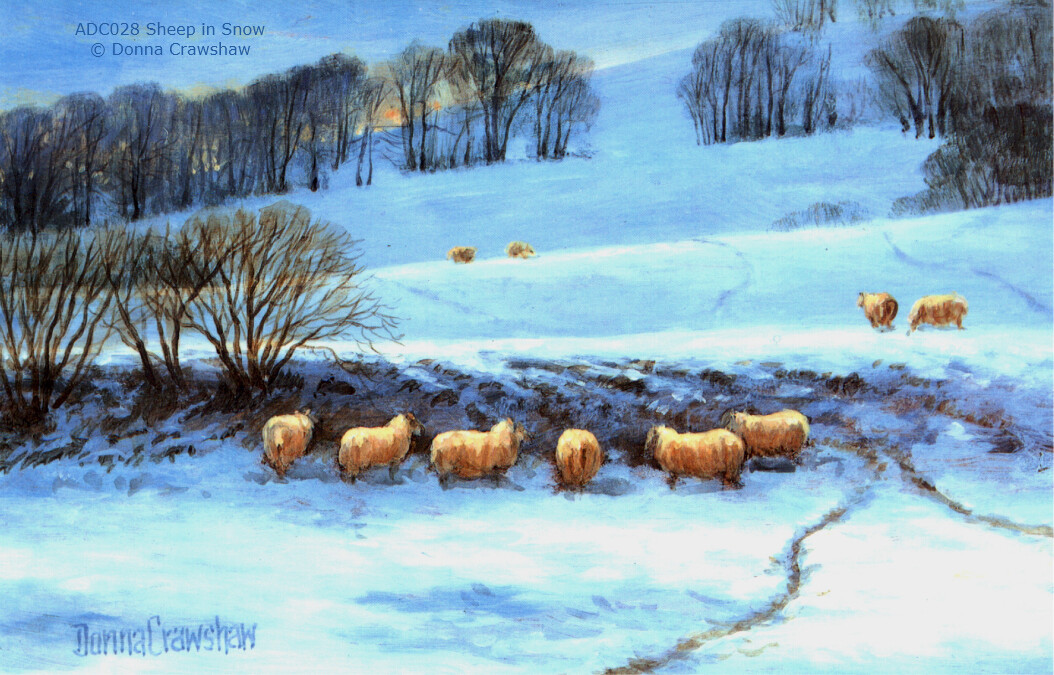 Sheep in Snow