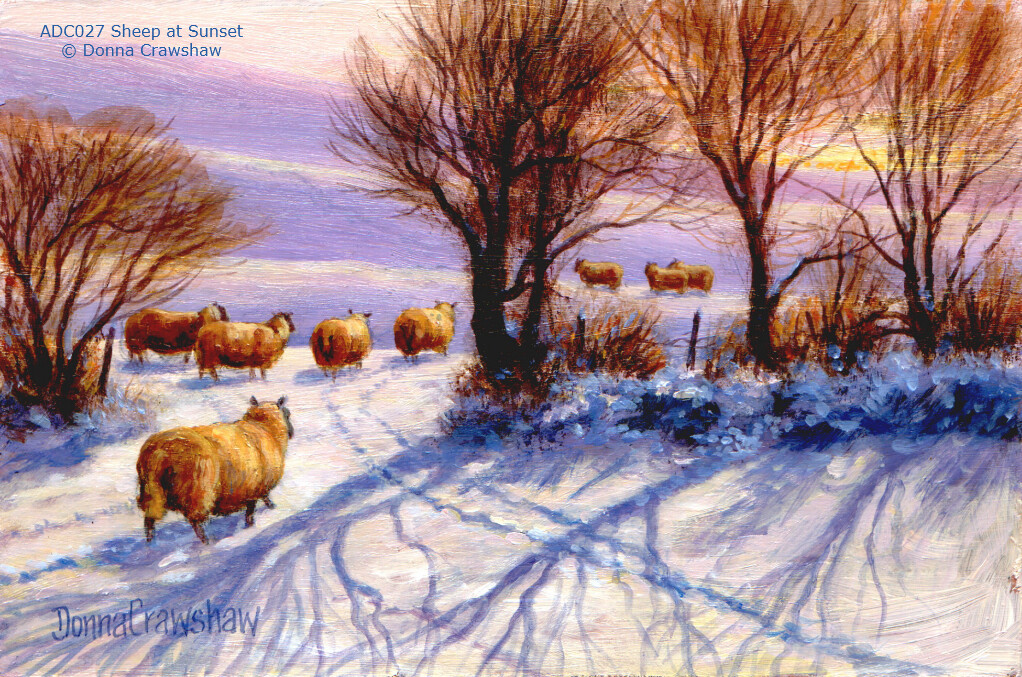 Sheep at Sunset