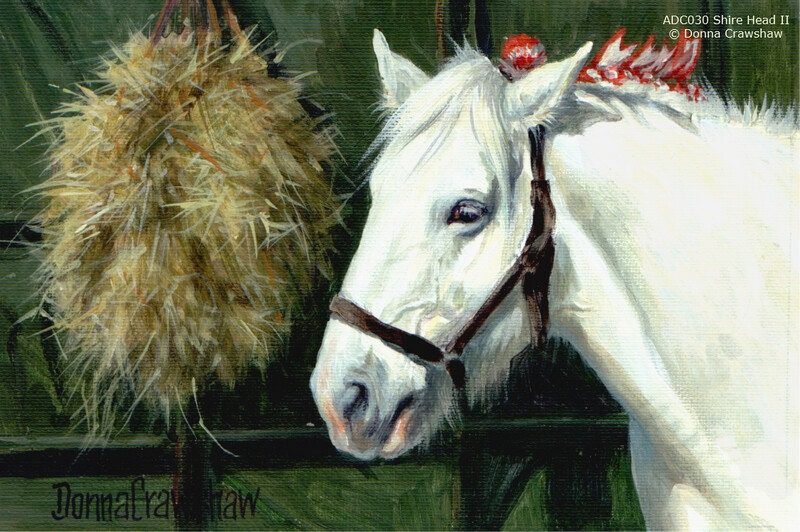 Shire Head II