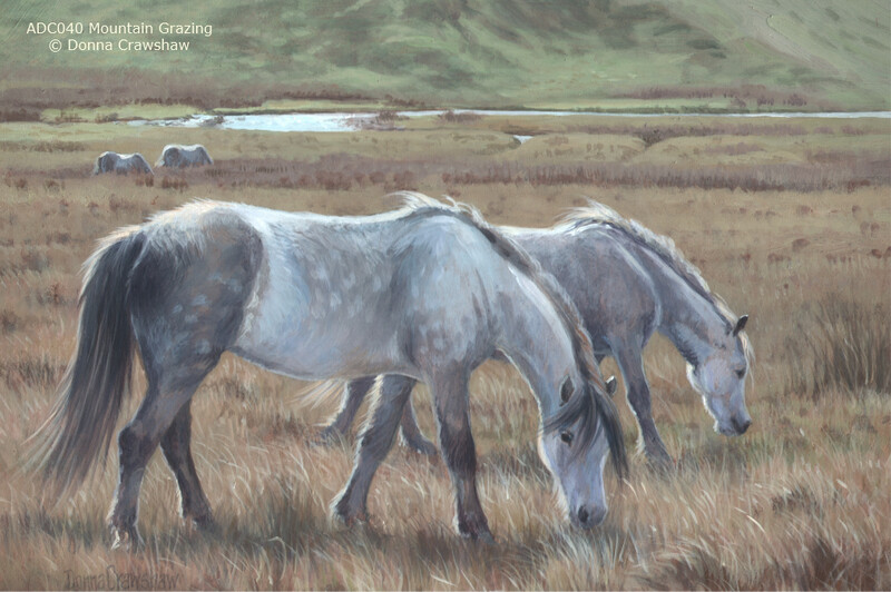 Mountain Grazing