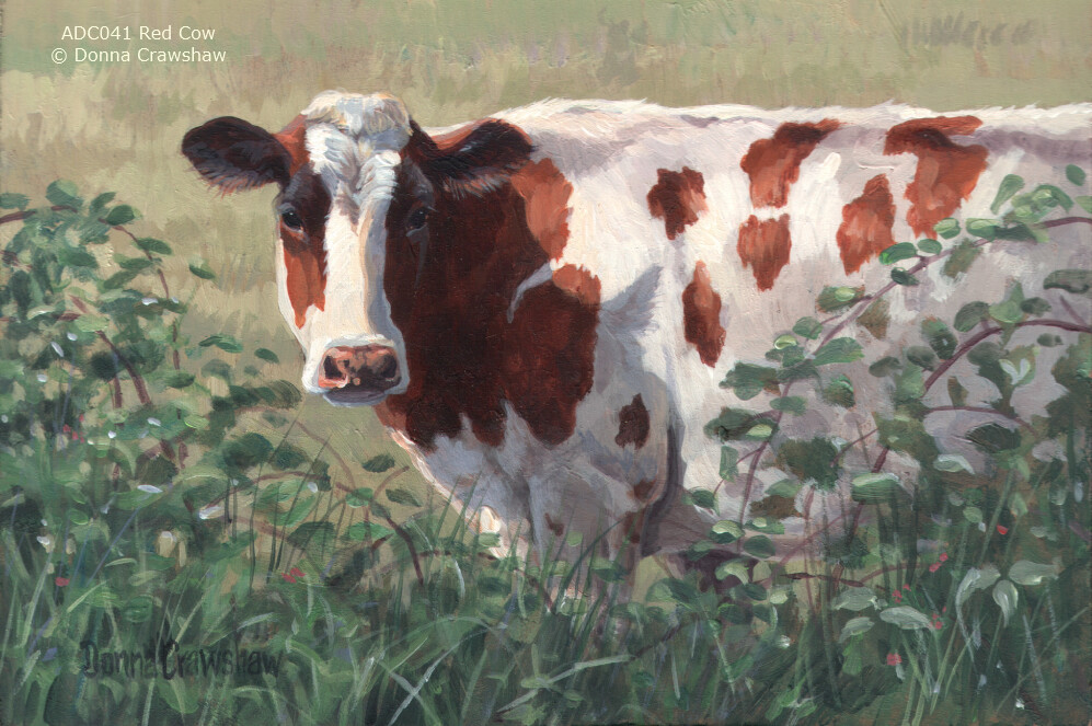 Red Cow