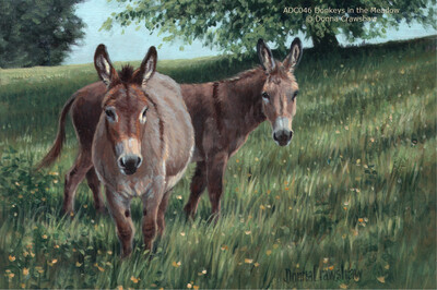 Donkeys in the Meadow