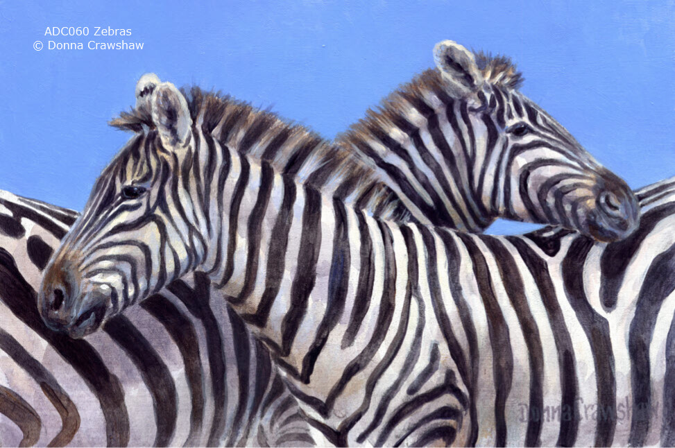 Zebras