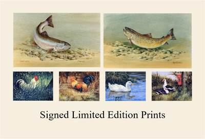 Limited Edition Prints