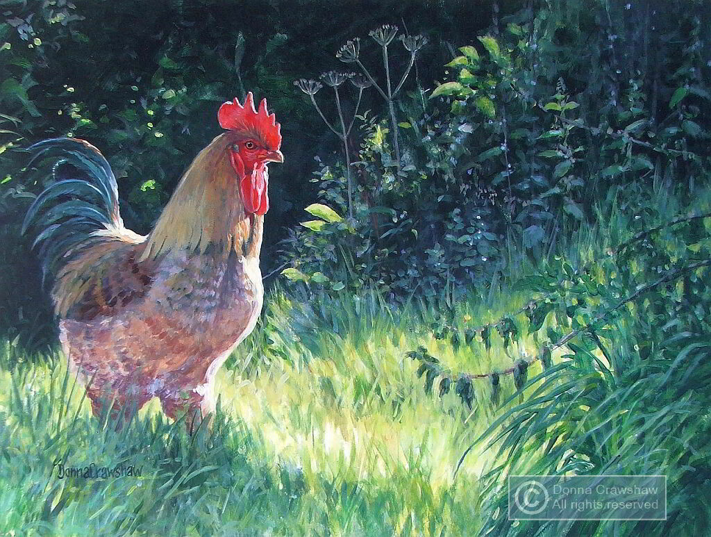 Cockerel in the Grass I