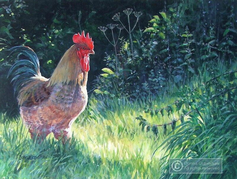 Cockerel in the Grass I