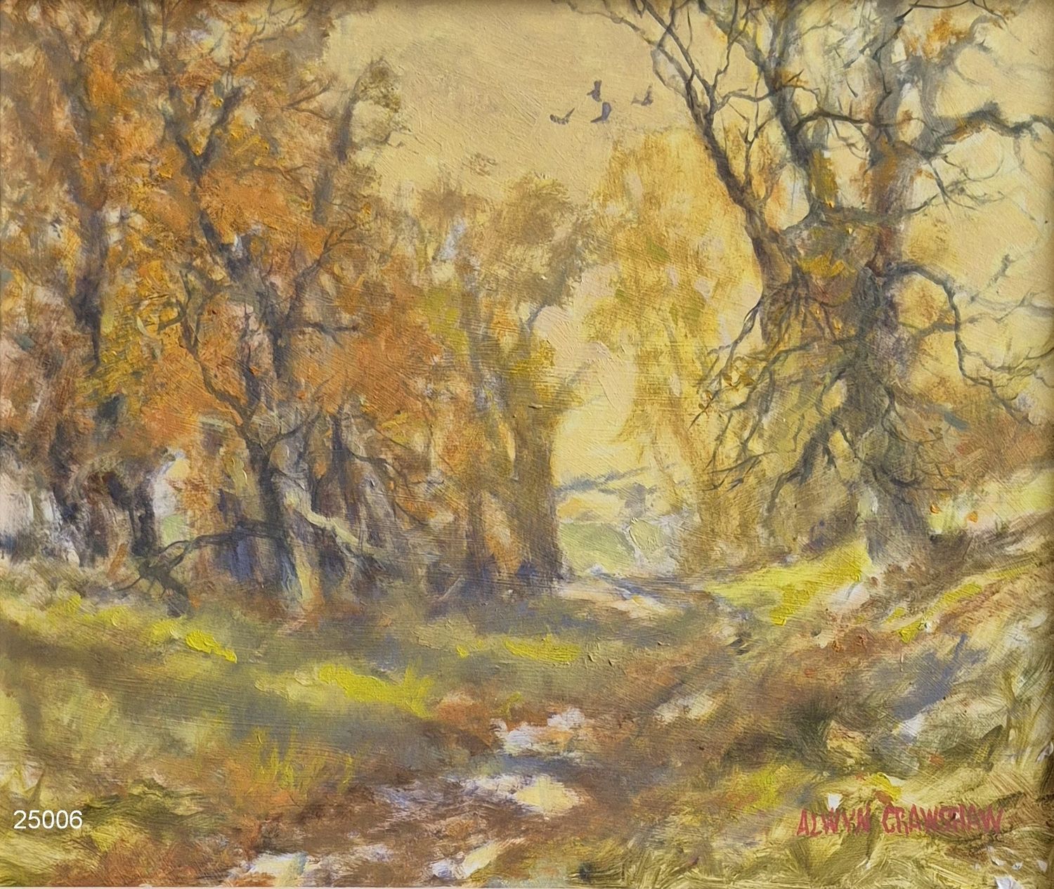 Autumn Colours