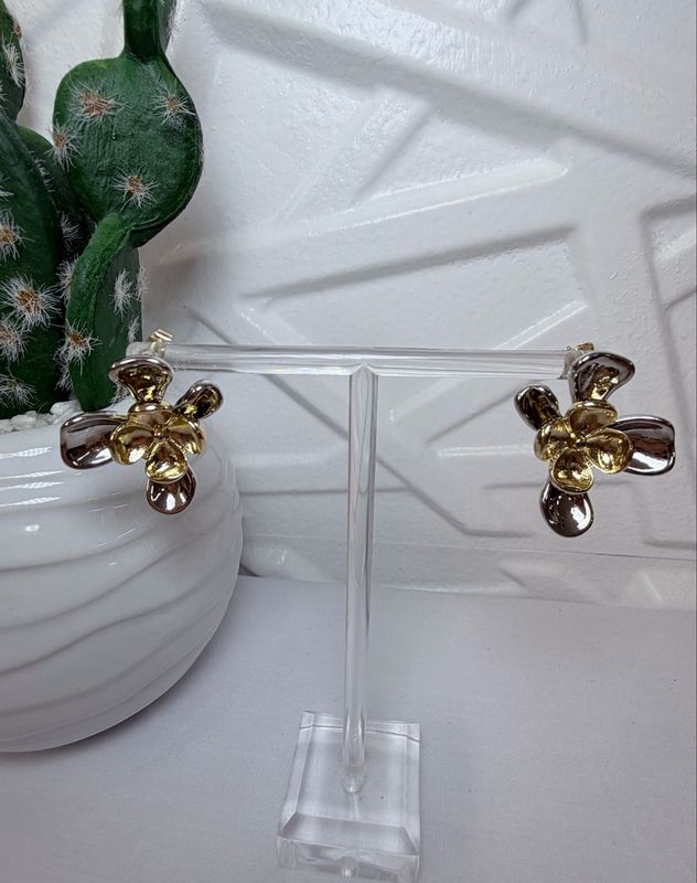 CATY EARRINGS GOLD/SILVER