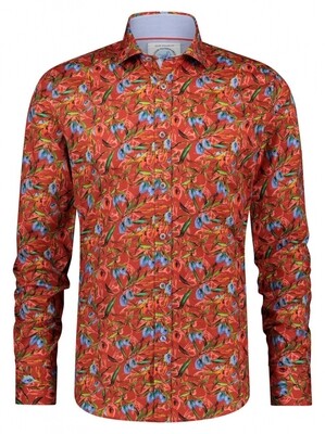 A Fish Named Fred Shirt Olives Red
24.01.005 rood