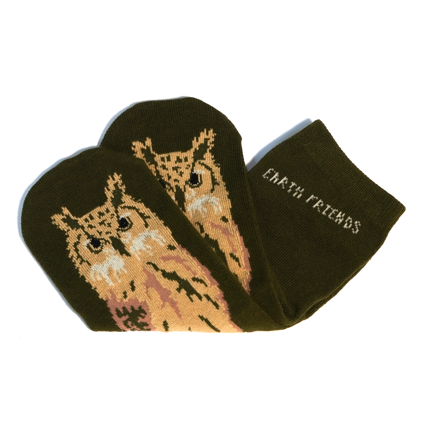 ベンガルワシミミズク