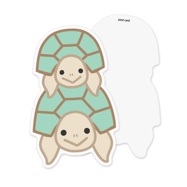 カメ