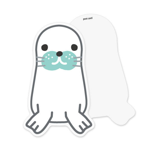 アザラシ