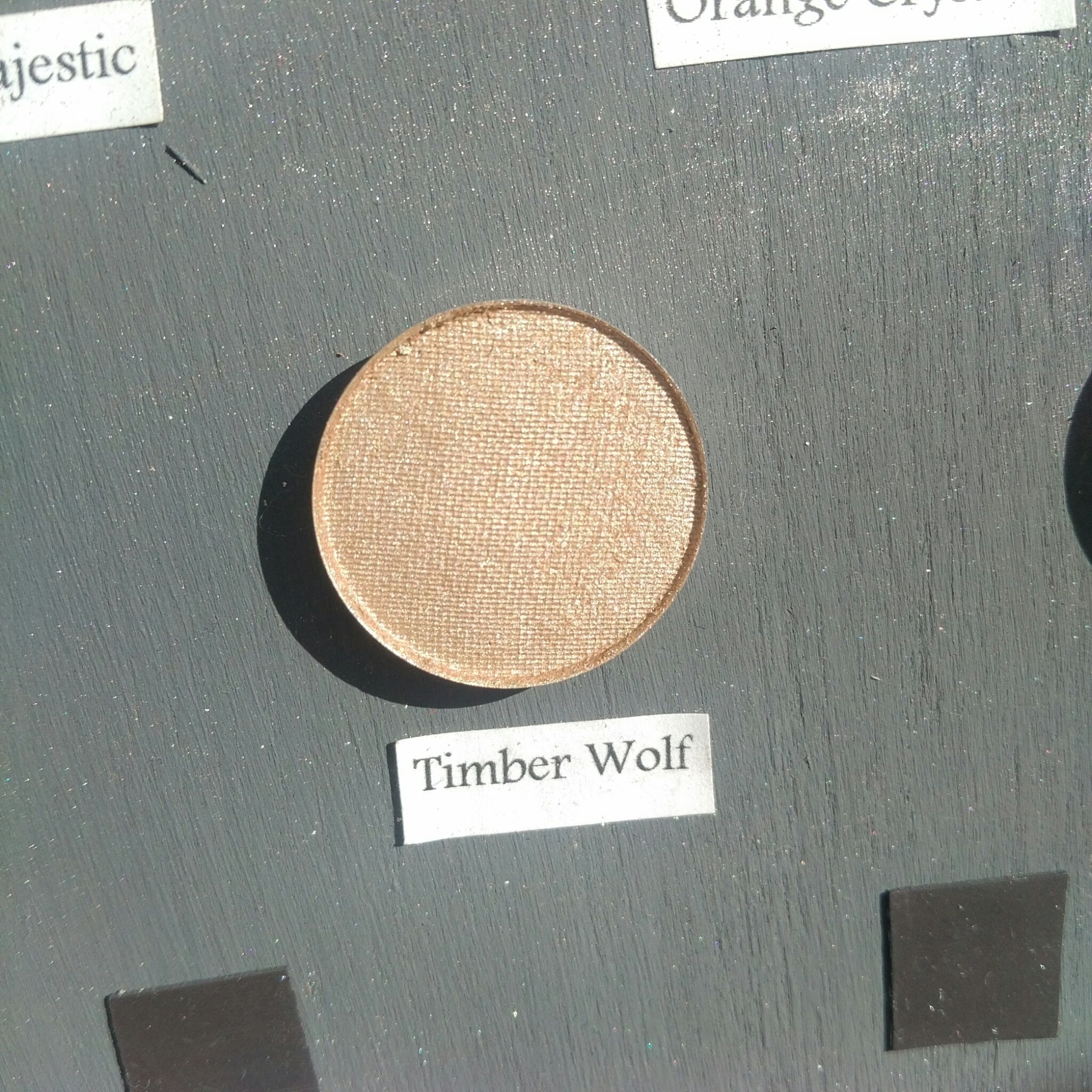 Timber Wolf 00289