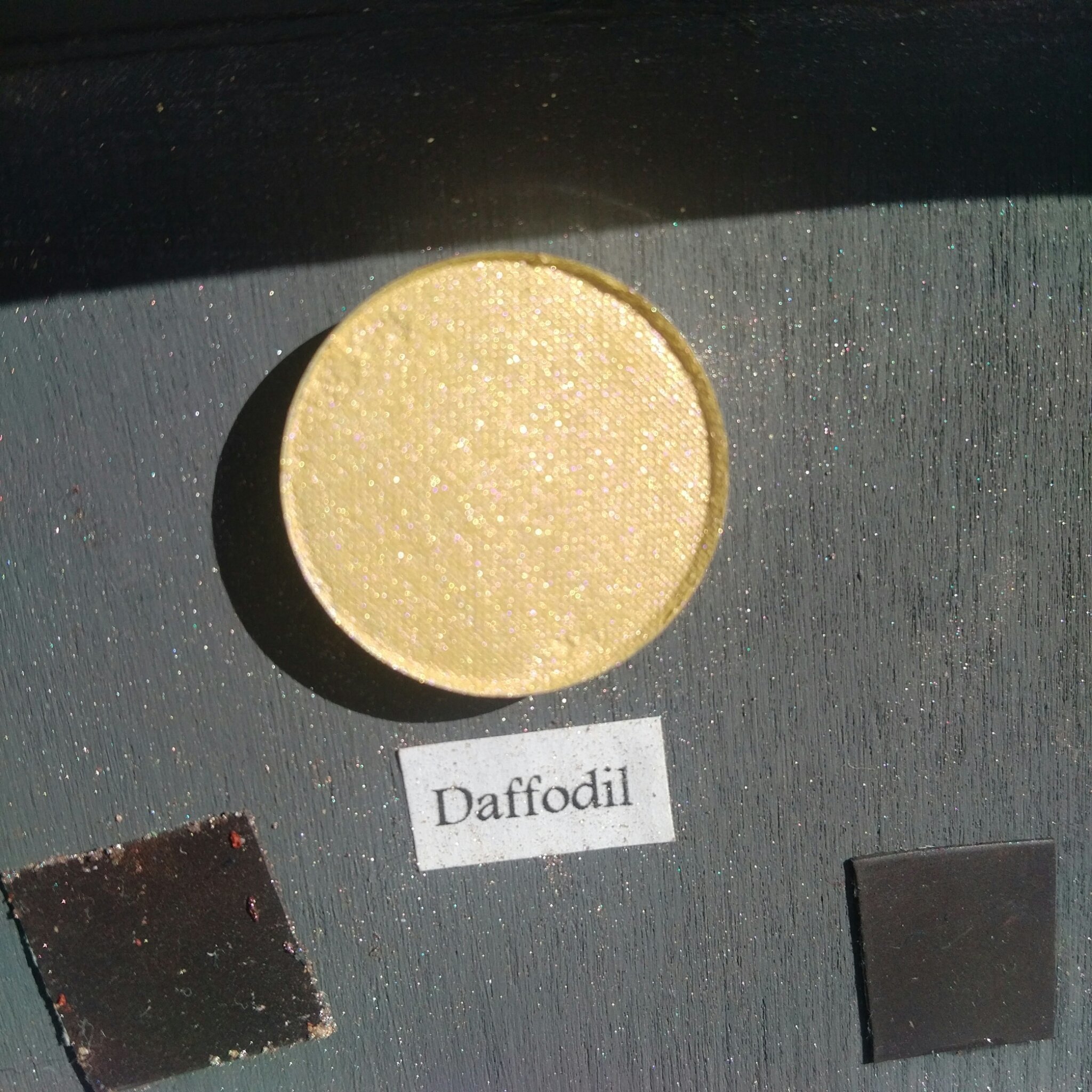 Daffodil 00096