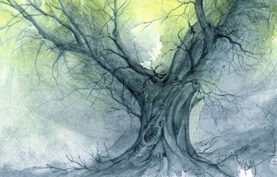 Limited Edition Prints