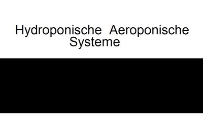 Hydroponic Systems