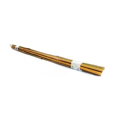 Tonkin Bambus Stab 60cm - Pflanzenstütze - 10 Stück
