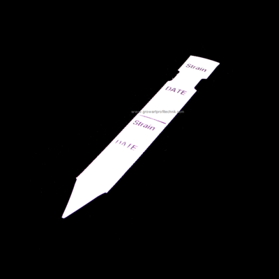 Stecketiketten 115x17mm - DATE / Strain 1 Stück