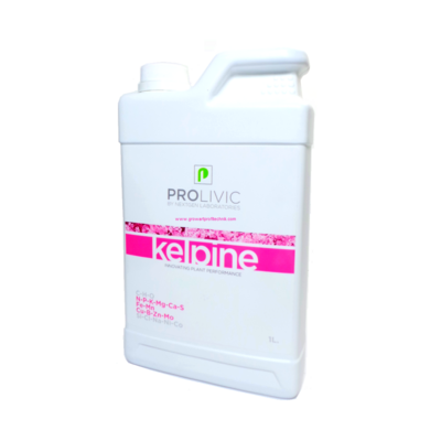 ProLivic Kelpine 1 Liter