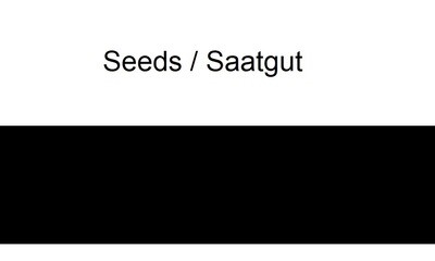 Seeds