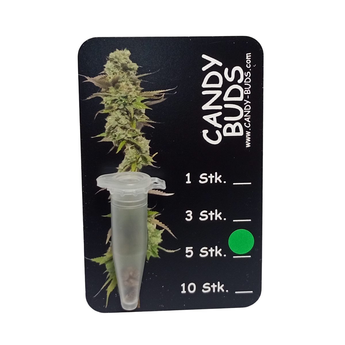 Candy-Buds #1 - AKA Hermies - 95%FEMALE - 2-5%MALE 5 Seeds Sammlerstück