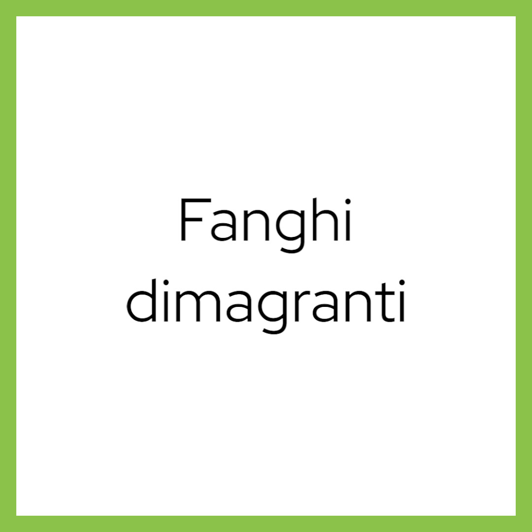 Card Fanghi Dimagranti