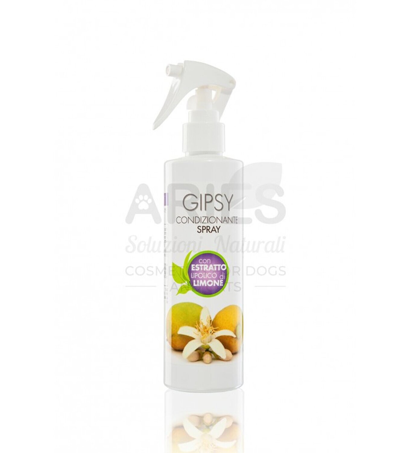 Gipsy Polishing Spray