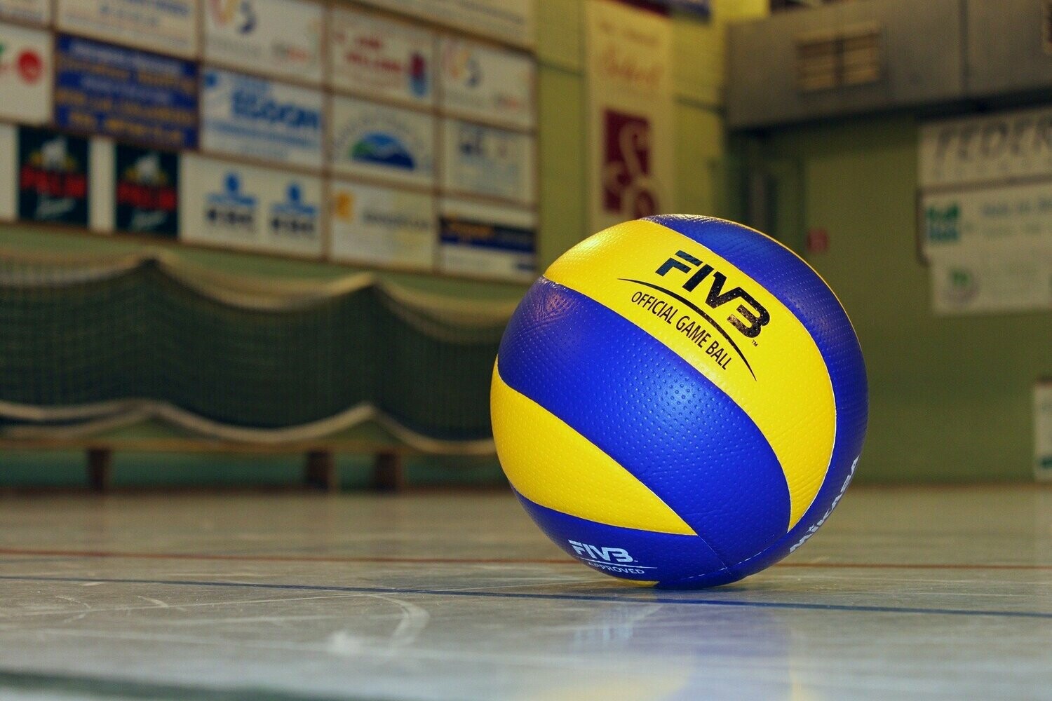 Balón profesional de Voleibol