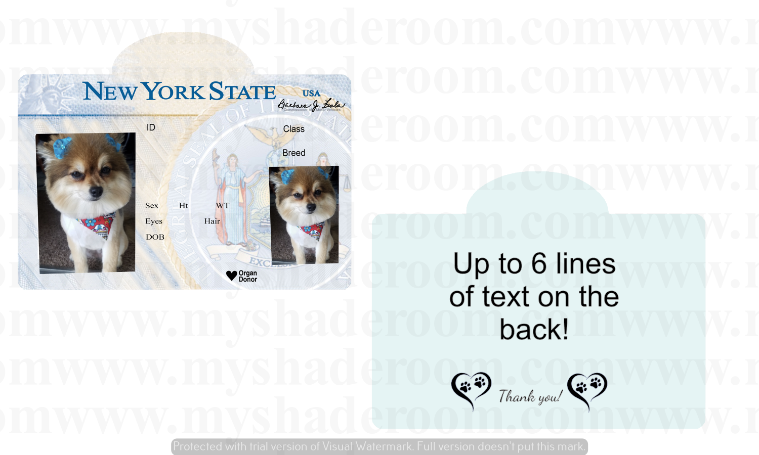 New York State Driver's License Dog Tag