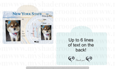 New York State Driver's License Dog Tag